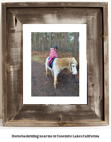 horseback riding near me in Yosemite Lakes, California